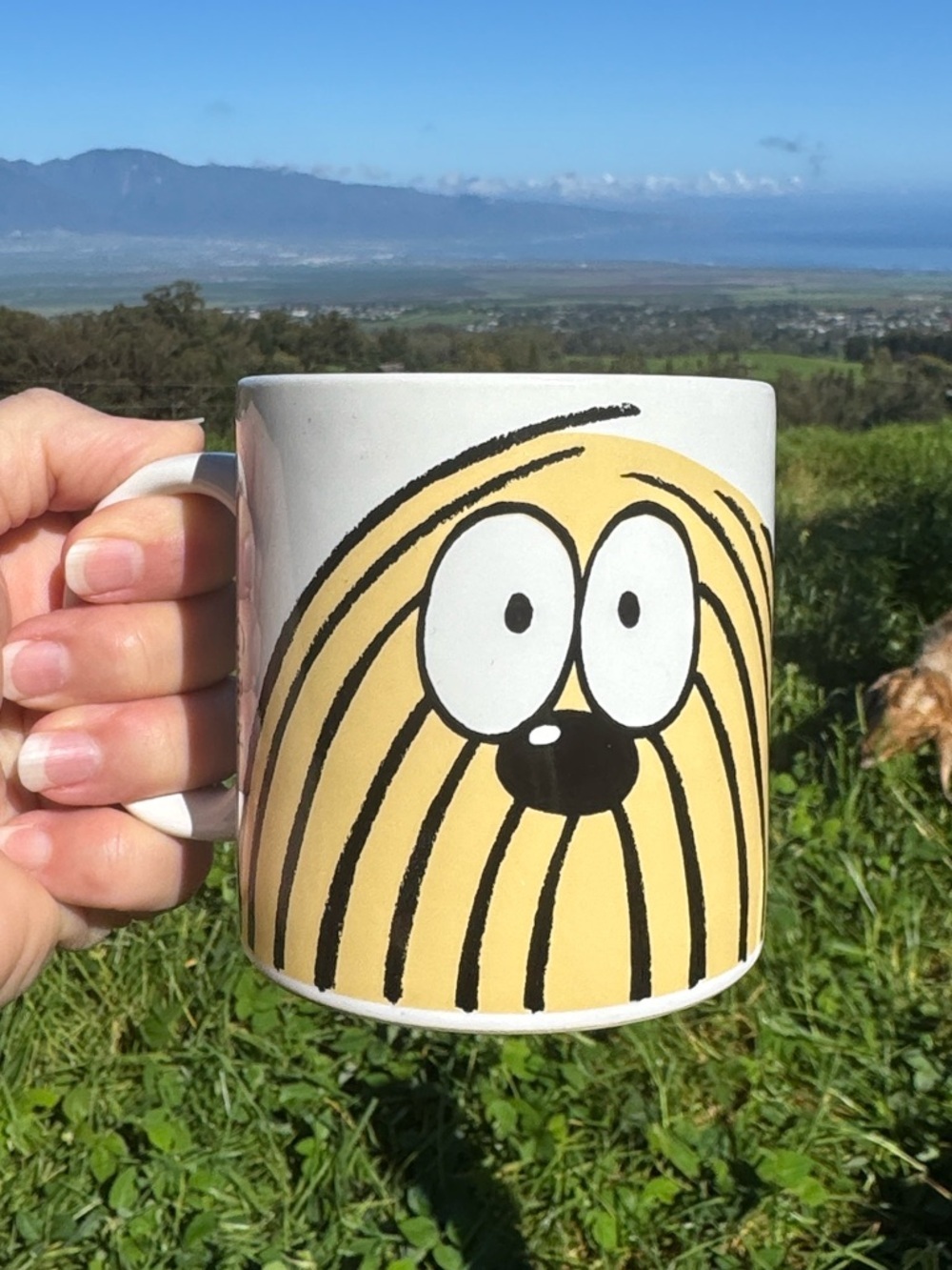 VTG 1979 Ask Shagg Mug Worlds Greatest Mug - Japan